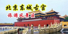 黄色片男人和女人搞逼黄片黄色片黄片中国北京-东城古宫旅游风景区